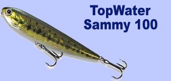 Sammy 100 de chez Lucky Craft : le leurre qui a révolutionné la pêche moderne du Bar au leurre de surface dès sa sortie en 1998.